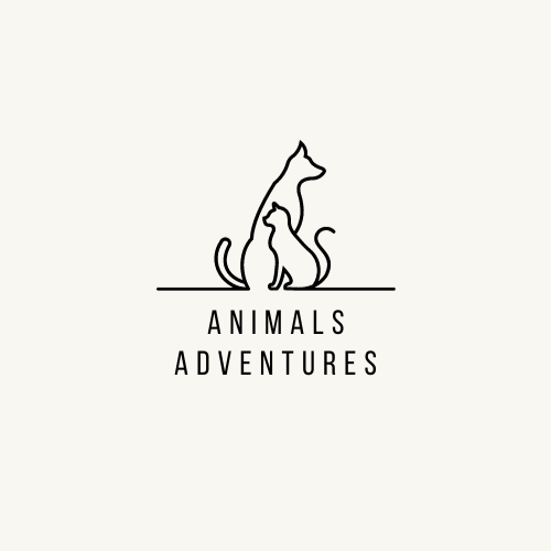 Animals Adventures